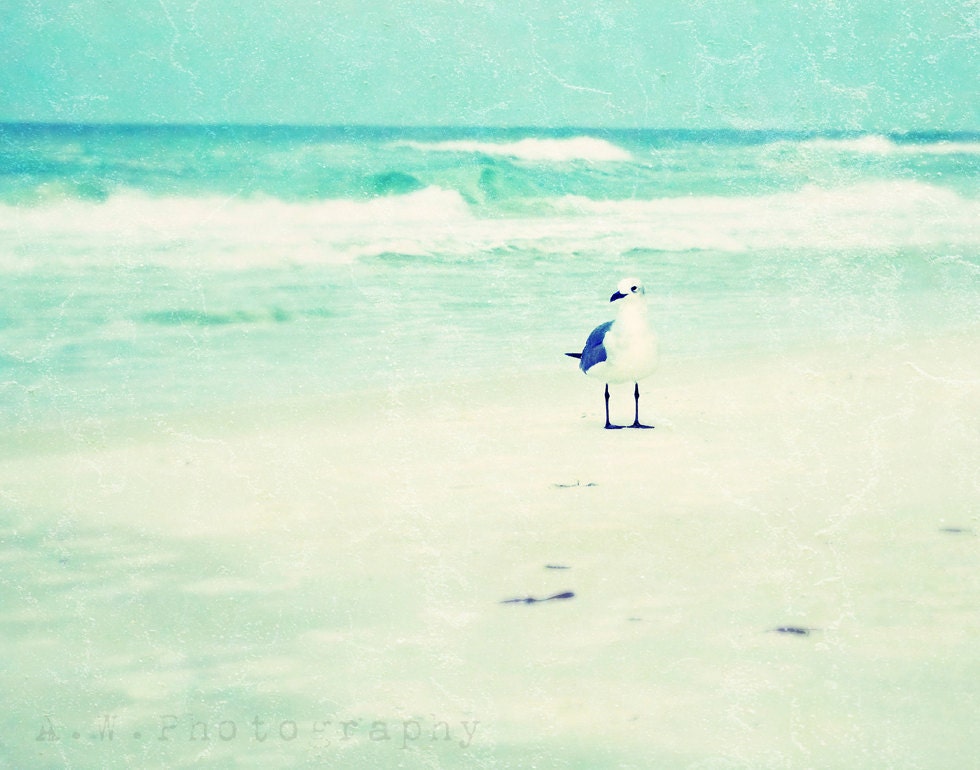 Seagull on the Beach 11x14 Photography Print Vintage Style Dreamy Light Blues Sand Waves
