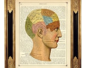 Anatomy Head Phrenology  - Vintage Victorian Book Page Art Print Steampunk