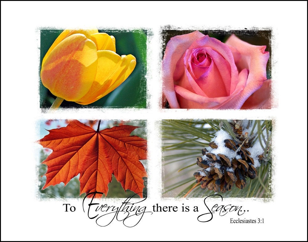 To Everything There Is A Season  11x14 Photography Collage