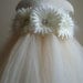 Flower girl dress Ivory, Champagne tutu dress, daisies, baby tutu dress, toddler tutu dress, newborn-24, 2t,2t,4t,5t, birthday