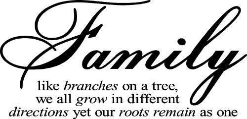 Family like branches on a tree vinyl quote wall lettering decal