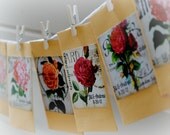 Flower seed favors 50 wildflower mix custom Il_170x135