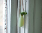 Wearable Planter No. 2, in Mint