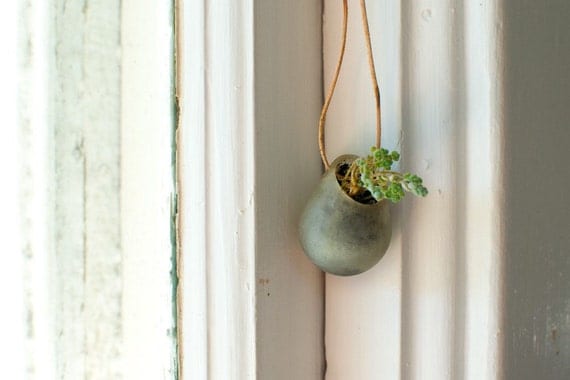 Wearable Planter No. 1, Translucent