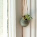 Wearable Planter No. 1, Translucent