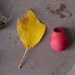 Ruby Planter Lapel Pin: A Wearable Planter