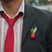 Ruby Planter Lapel Pin: A Wearable Planter