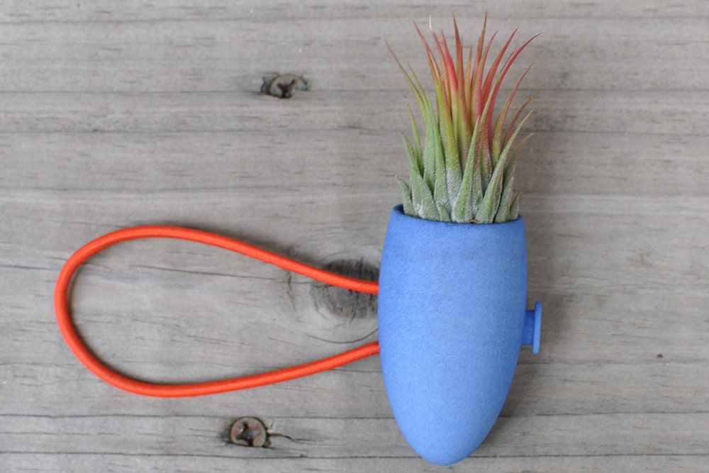 Cobalt Blue Bike Planter