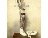 Vintage Artificial Leg / Early PROSTHETIC LIMB / Unusual Cabinet Card Photograph / Vintage Photo Reprint