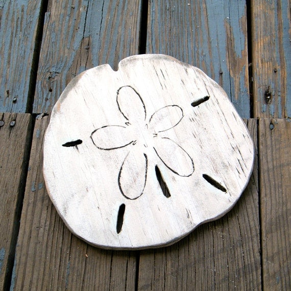 Beach Sand Dollar Coastal Decor Gulf Coast