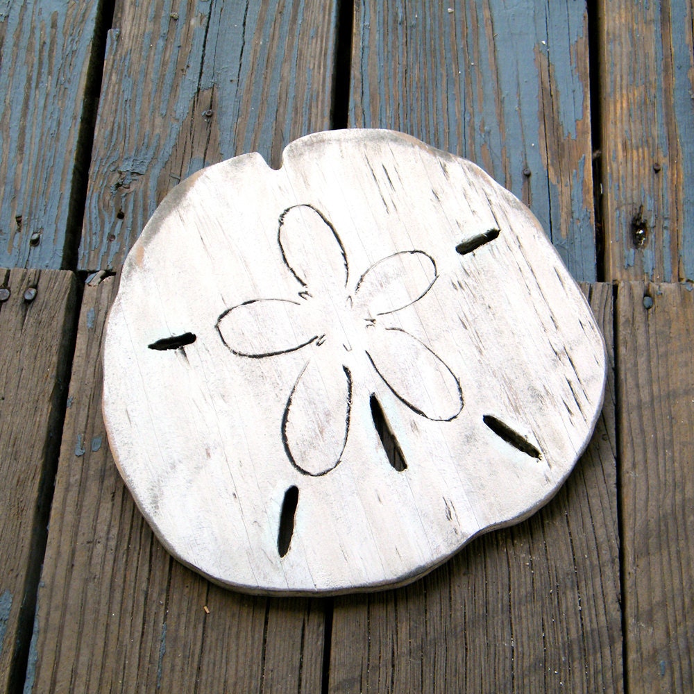 Beach Sand Dollar Coastal Decor Gulf Coast