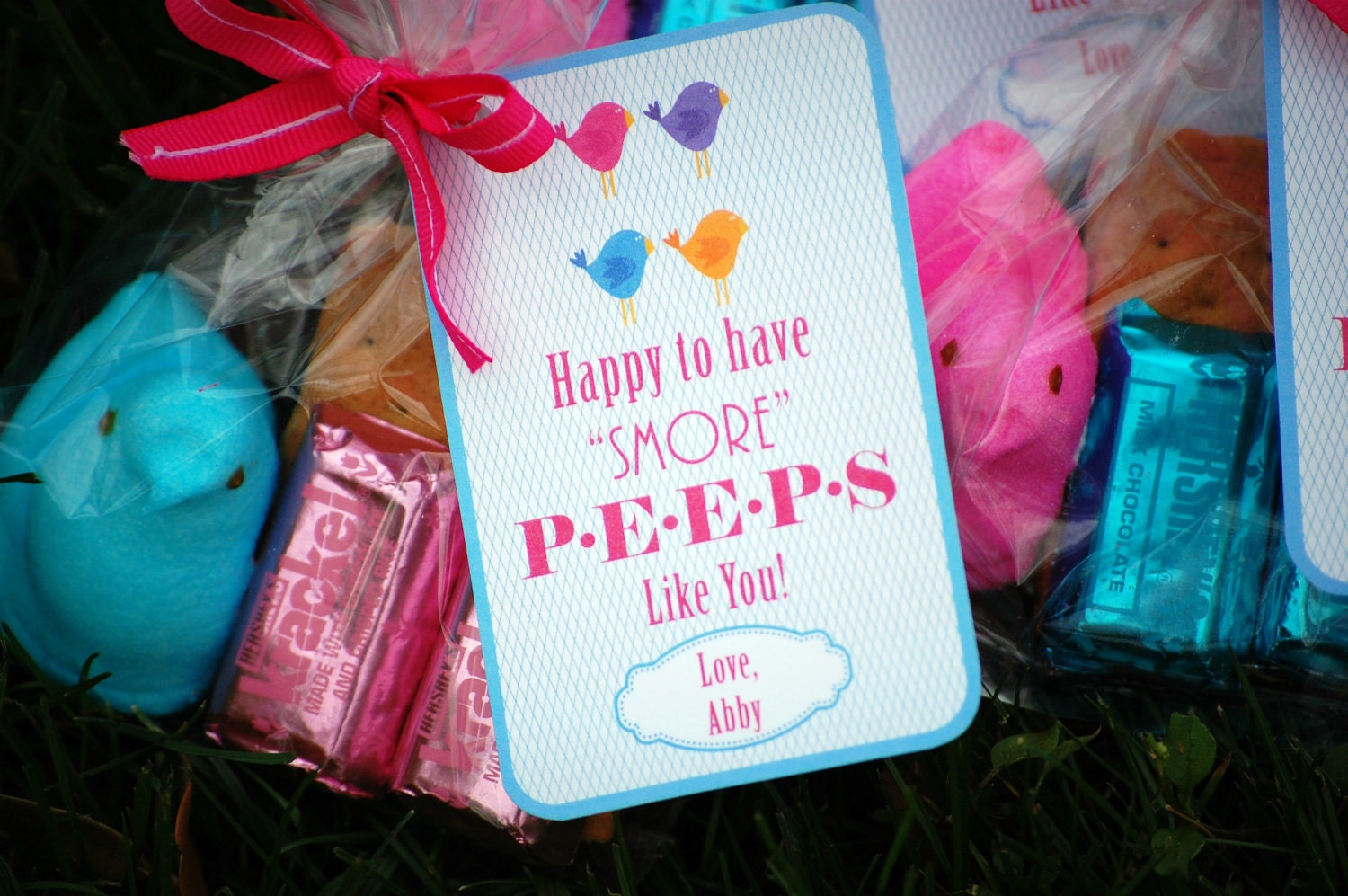 Easter Peep Smores Printable Favor Tags Il_570xn