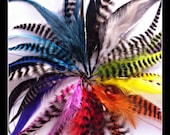 ROCKSTAR DOG - Puppy Locks - Feather Extensions For Your Puppy : Micro Link Included