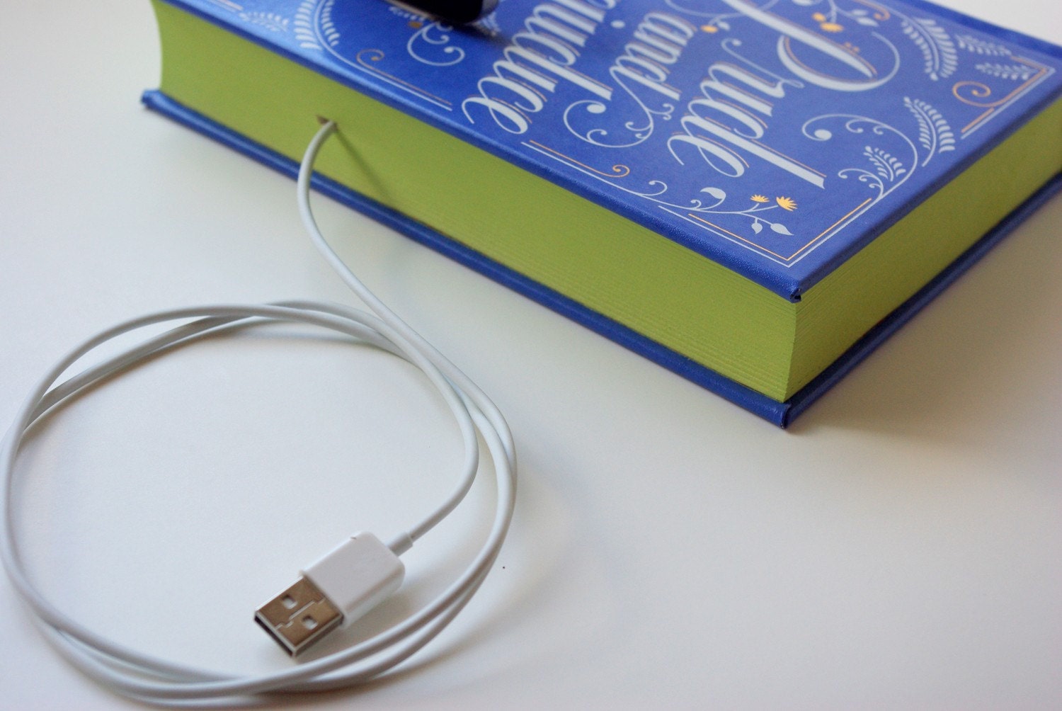 Pride & Prejudice Leather booksi for iPhone and iPod