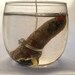 Zombie Severed Finger Deluxe Candle Realistic Lifesize