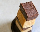 Chocolate and Peanut Butter Vegan Fudge Squares No Bake - 1/4 lb quarter pound