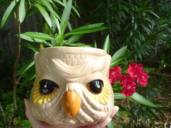 Vintage Wise Owl Planter For a Lovely Dish Garden - ViperVintage