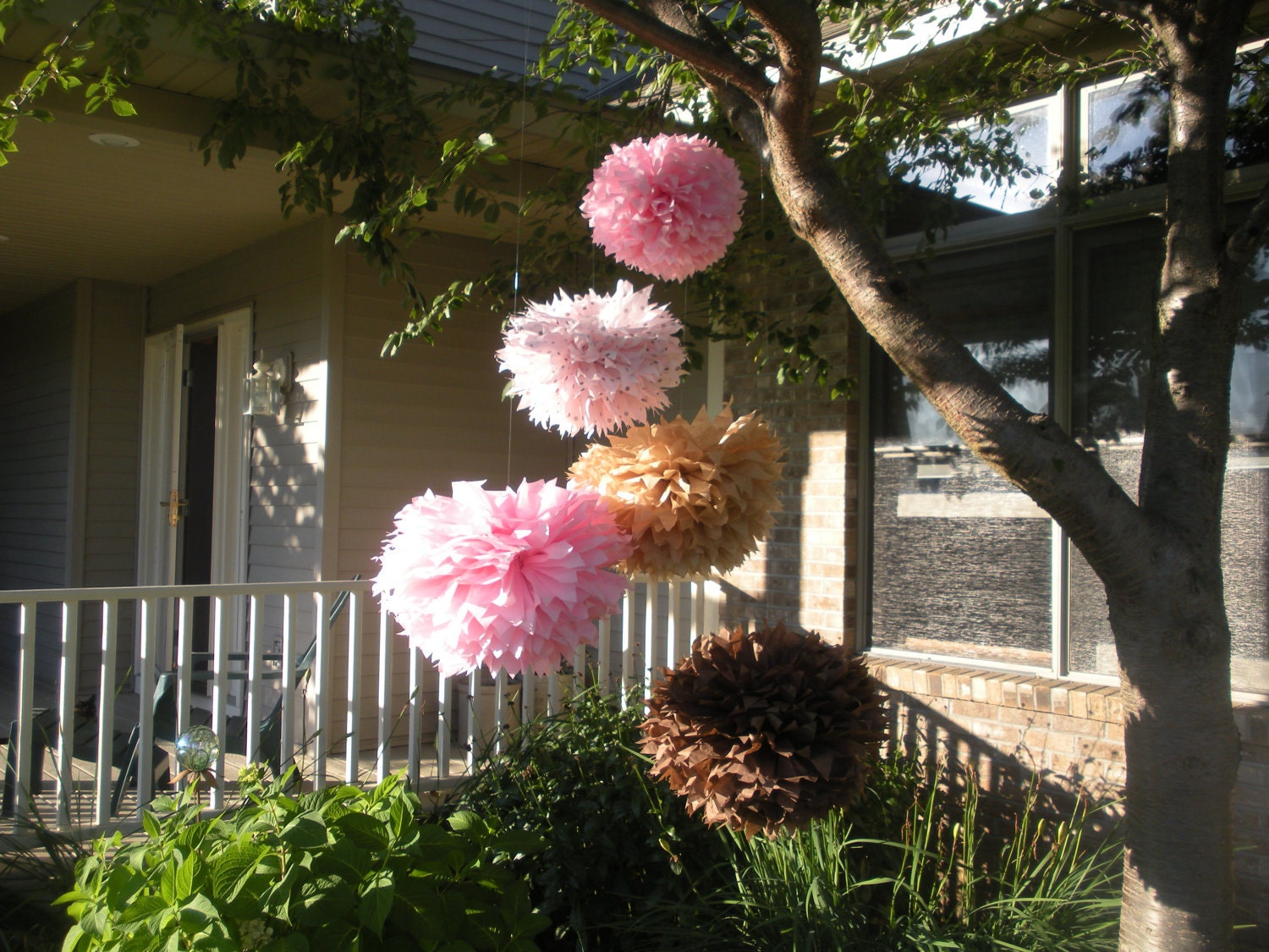 FAST SHIPPING Extra Full Neopolatin Collection Set of 5 large Tissue Pom Poms