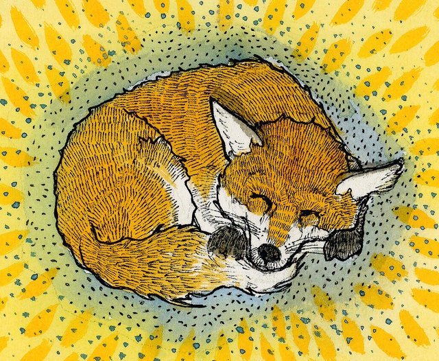 Hibernating Fox - Archival Print