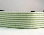 Dog Collar - Dog, Martingale or Cat Collar - All Sizes - Green Seersucker