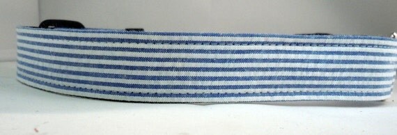 Dog Collar - Dog, Martingale or Cat Collar - All Sizes - Blue Seersucker