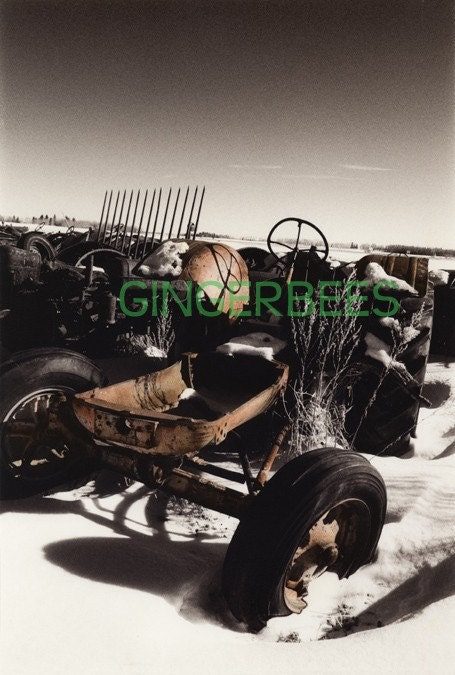 Giclee print of photographic art 13"x9"