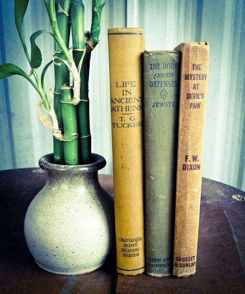 Three Hard Cover Vintage and Antique Books, Olive Green, Beige, Yellow
