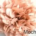 5 Tissue Paper Pom Pom Wall Flowers...choose your colors...nursery wall decor