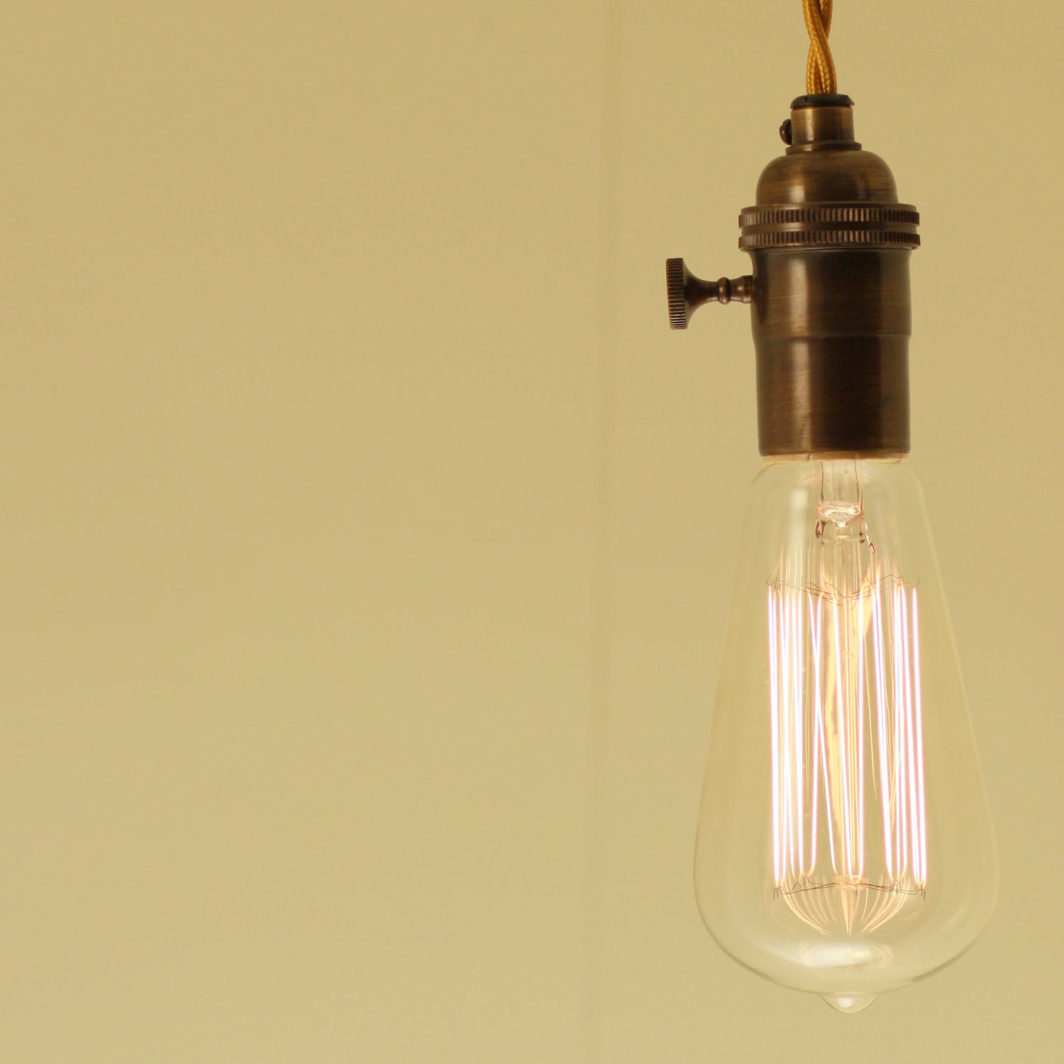 Pendant Light - Simple, Single, Sexy