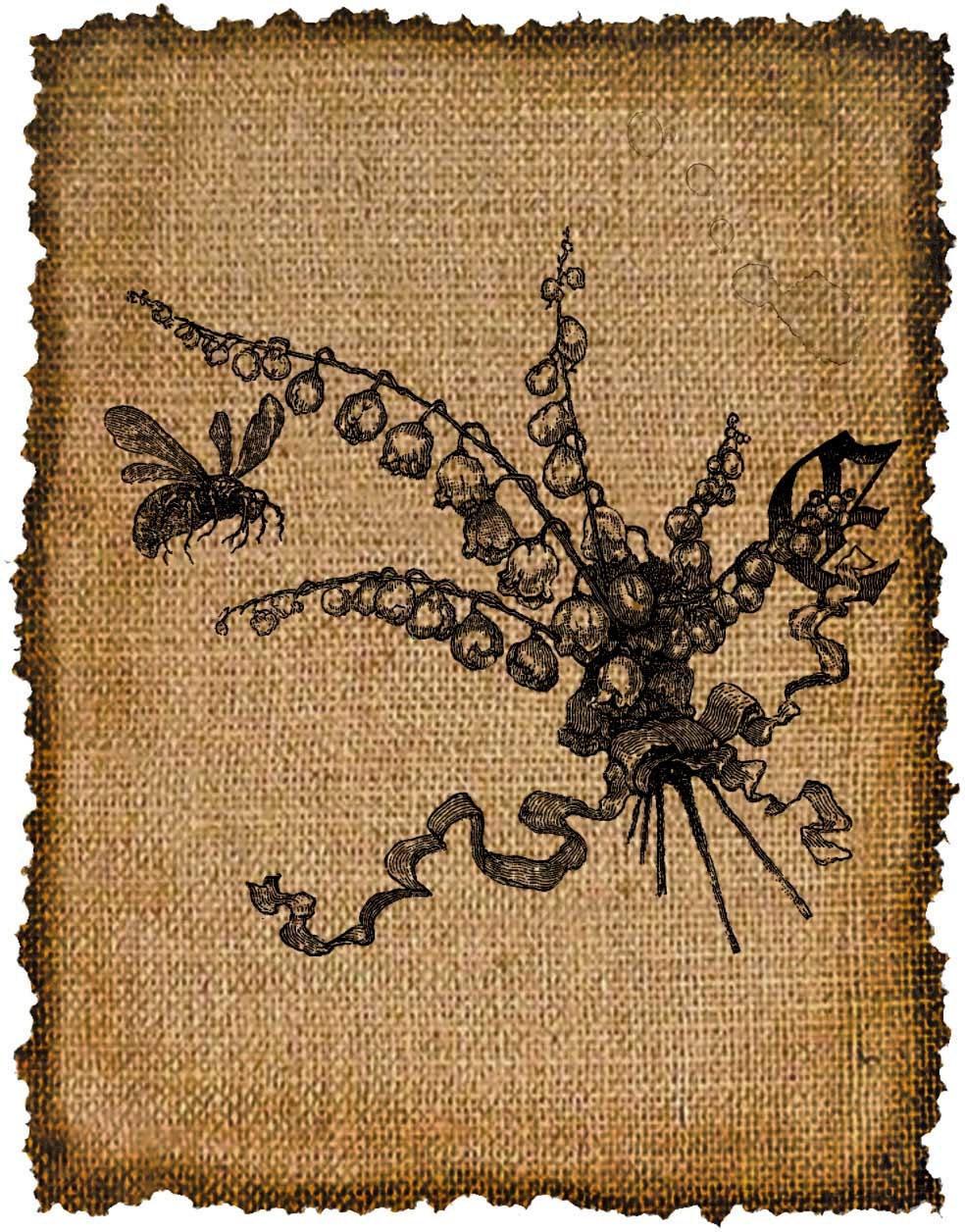 VINTAGE , LETTER E,  Altered, Printable, Iron On, Ephemera,  Digital Image No. 504
