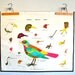 vintage school chart: double sided bird studies and cell division