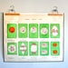 vintage school chart: double sided bird studies and cell division