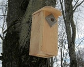 NUTHATCH house with guard