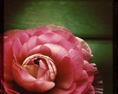 Pink Blooming Flower, Baby Room, Nursery, Spring Time, Still Life Fine Art Photograph 8 x 8