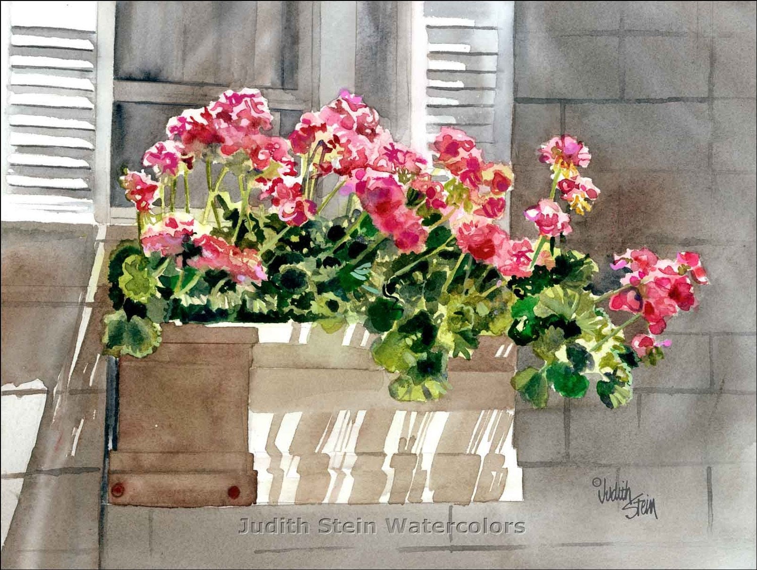 GERANIUM FLOWERS Window Box 15x11 Signed Watercolor Print