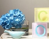 Custom Modern Letter Blocks
