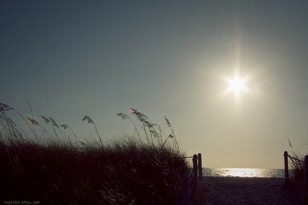 Summer Days Neutral Landscape Sunrise Photography Fine Art  - A Bright Horizon 8x12