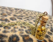 Chamomile filled pendant glass vial