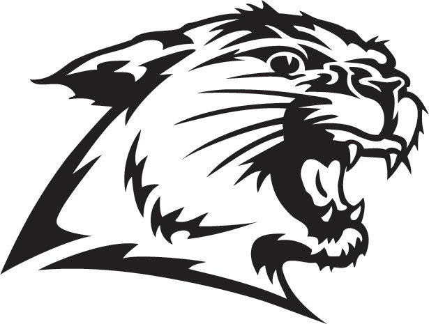 Wild Cat Custom Made Vinyl Sticker Decal, Car Decal, Bumper Sticker, Laptop Decal, Window Sticker