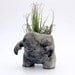 Raku Creature Pot (Planter)