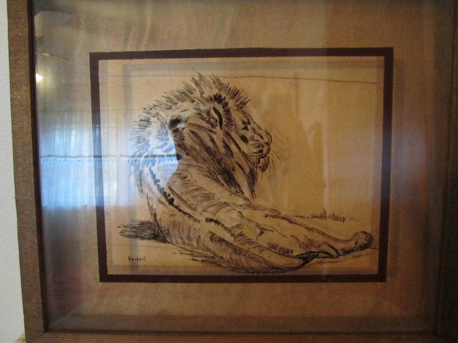 Majestic Lion Shadow Box Painting Picture