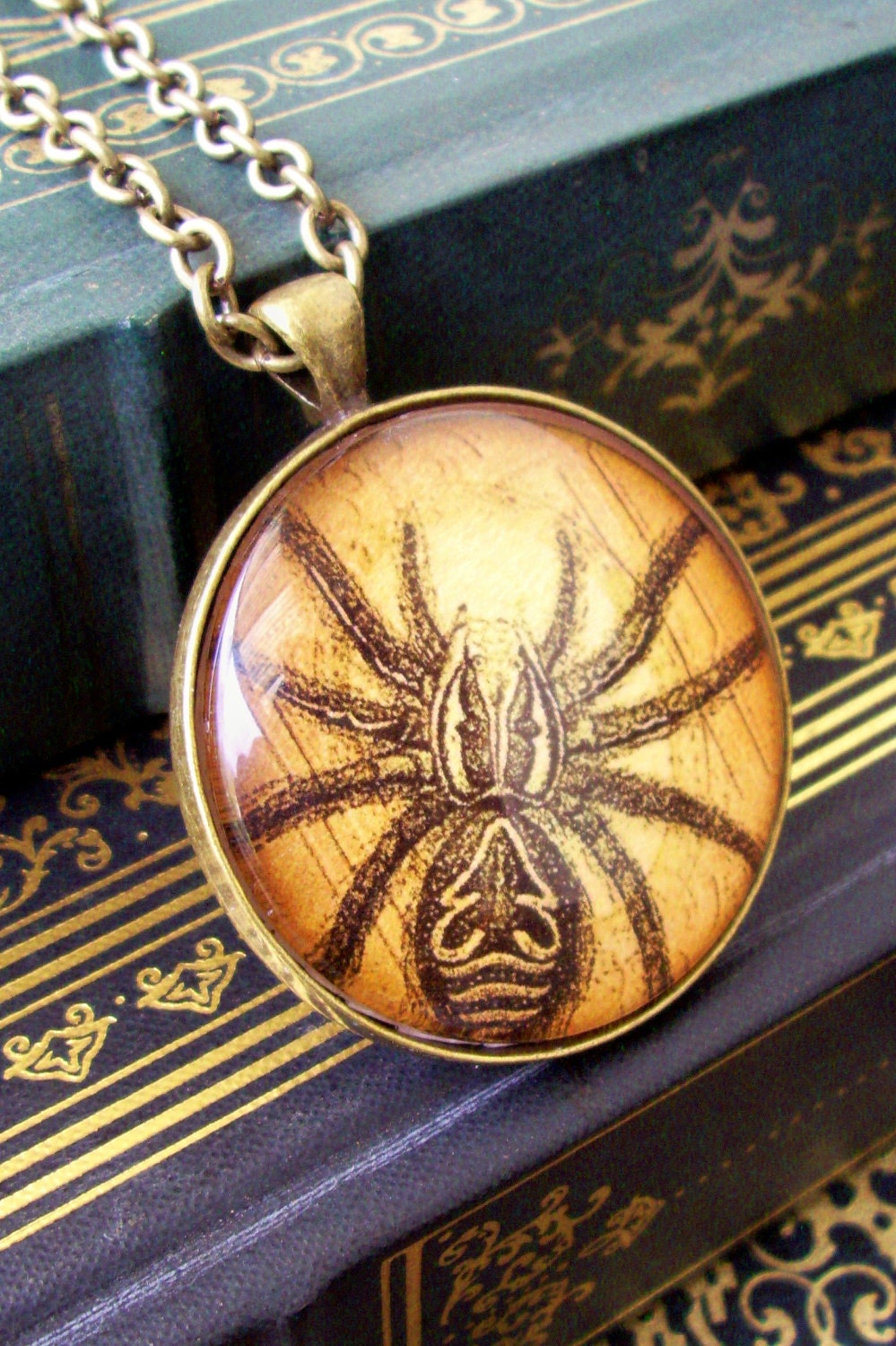 Steampunk Necklace (N91-2) - Victorian / Gothic - Vintage Spider Artwork Under Glass - Large 1.5 inch diam - Brass - Chain Included