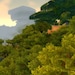 Stranglethorn Vale: Earrings inspired by World of Warcraft - Gurubashi Arena