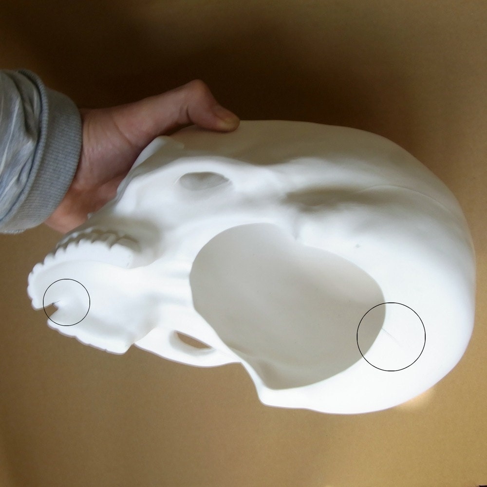 Goliath, Skull Lampshade (small fault)