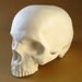 Goliath, Skull Lampshade (small fault)