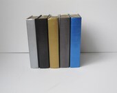 Book Bundle Decorative Metallic Books Painted Set of 6 Custom Made to Order
