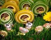 Dora the Explorer Jungle Adventure DIY Personalized Dessert Stickers
