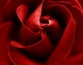 Tied With Love