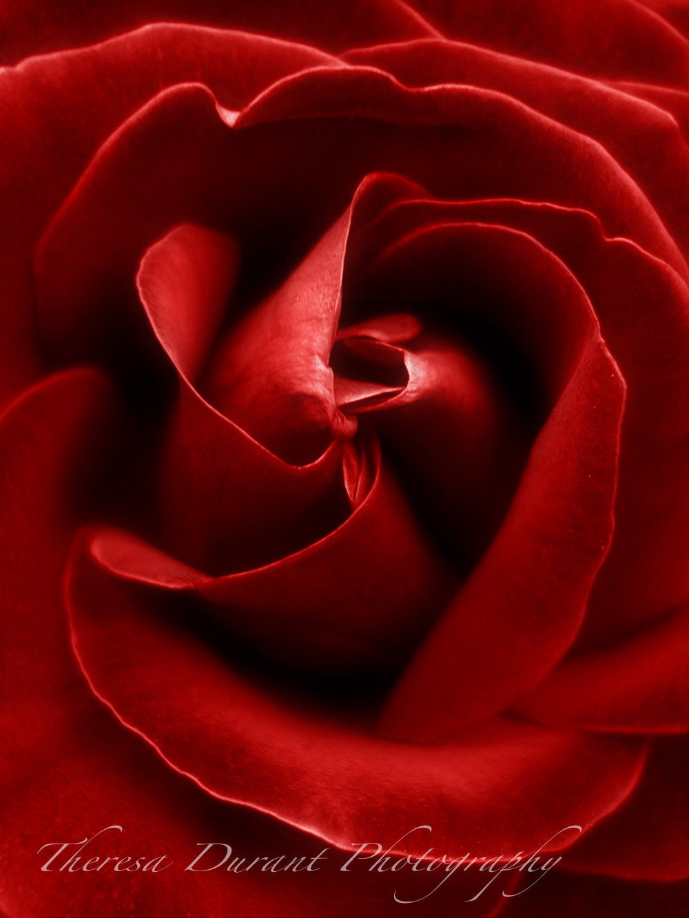 Tied With Love