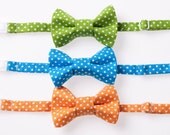 Little Boy Bow Tie - Green, Blue, or Orange Swiss Dot